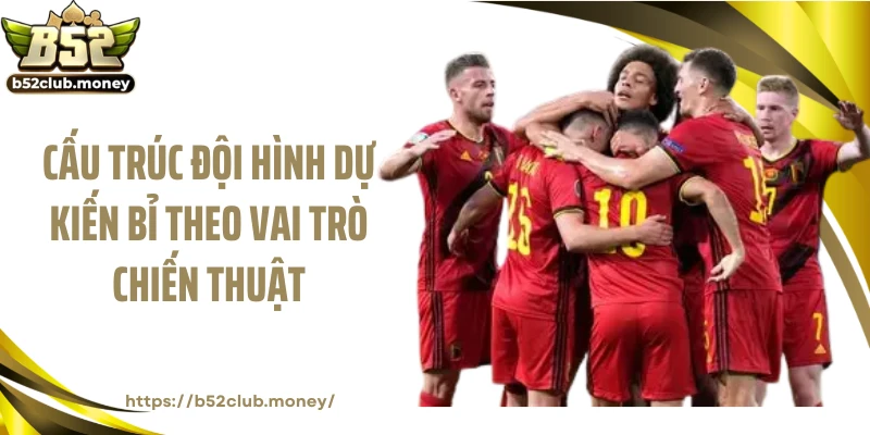Cấu trúc đội hình dự kiến Bỉ theo vai trò chiến thuật